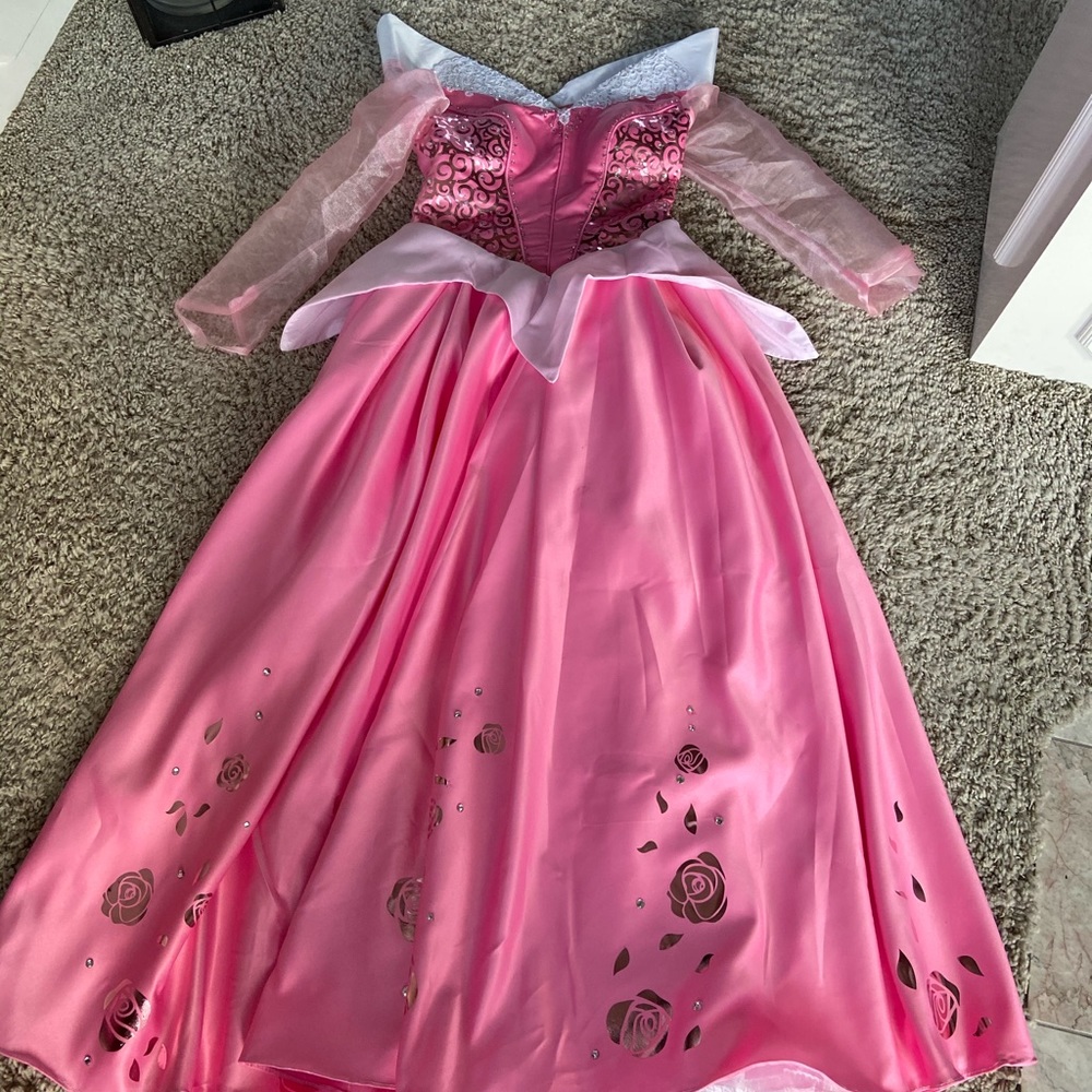 Adult costume and Cosplay Sleeping Beauty Gown